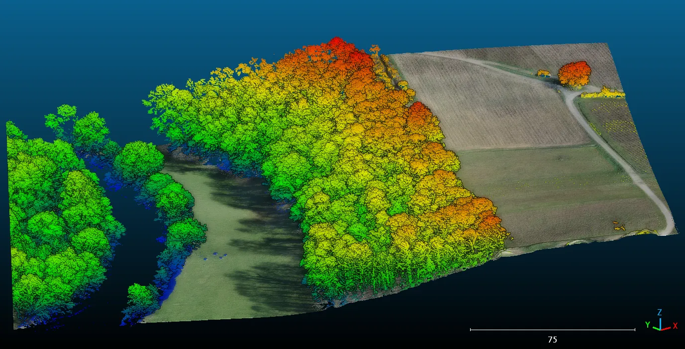 Nuage de points LiDAR colorisé par altitude, canopée et sol distingués
